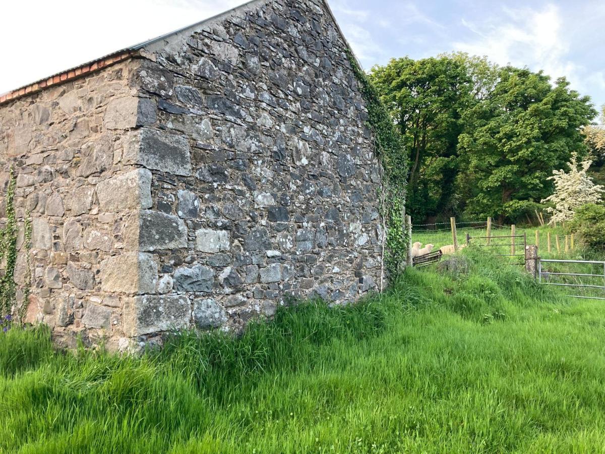 Villa Hillhead Country Retreat Castlewellan Exterior foto